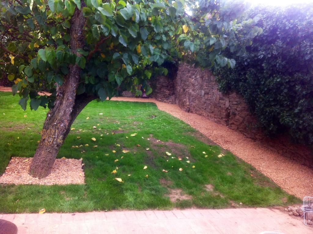 Casa Rural Pico Del Lugar Villar de los Barrios エクステリア 写真