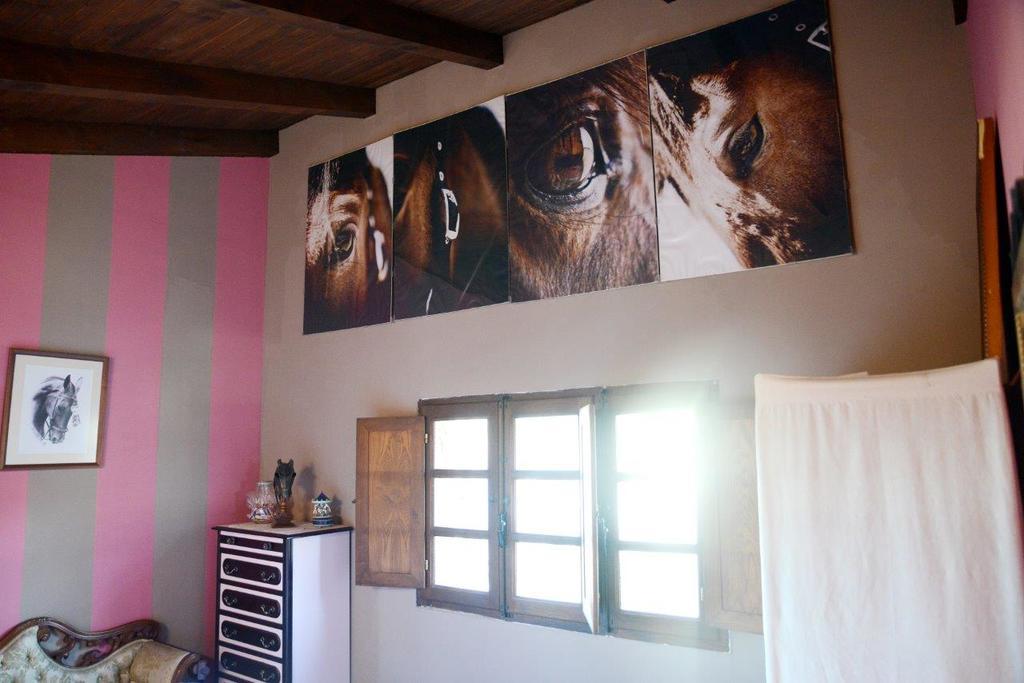 Casa Rural Pico Del Lugar Villar de los Barrios エクステリア 写真
